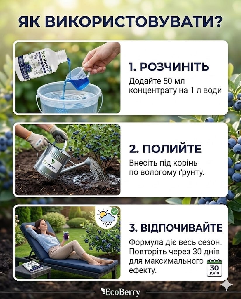 Як приготувати розчин EcoBerry